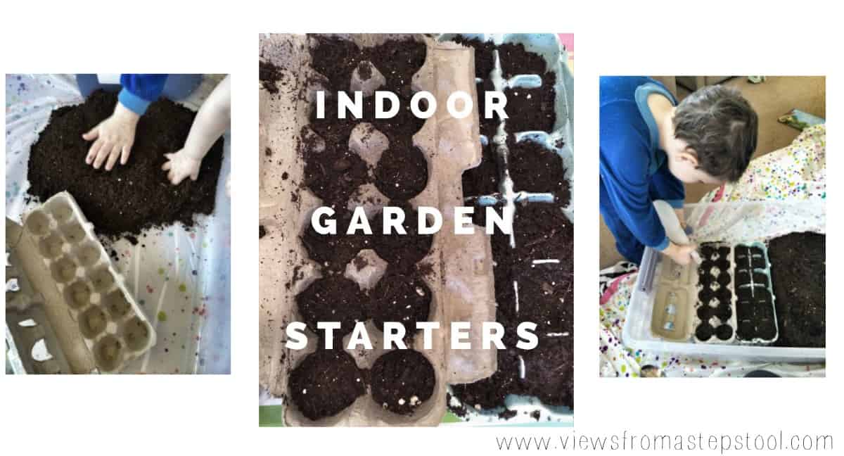 Use a recycled egg carton to start your seeds indoors! Plant them in your garden once they have become established.
