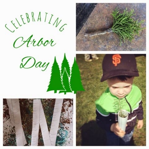 Celebrating Arbor Day