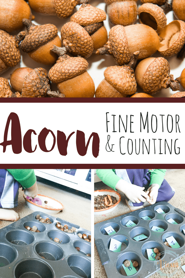 Acorn Fine Motor and Counting
