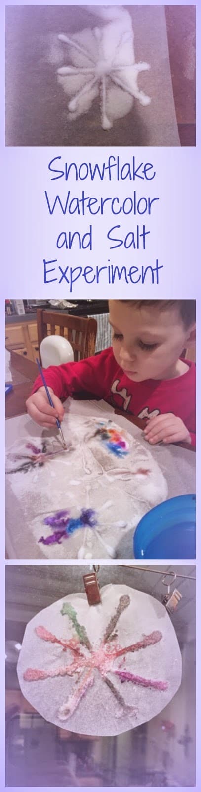 Simple Snowflake Craft: Painting Salt with Watercolors
