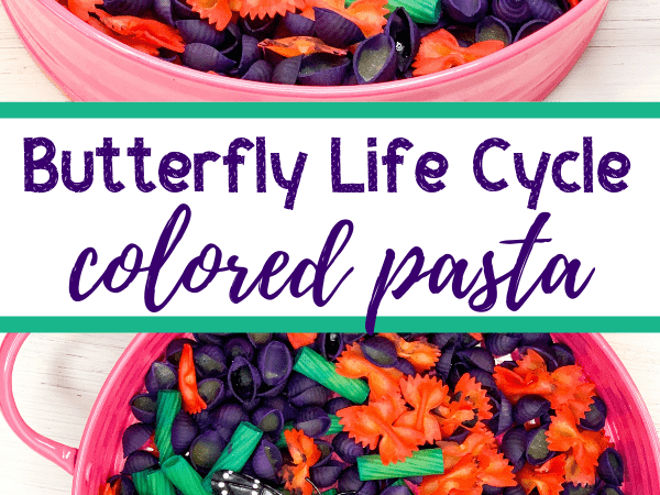 Butterfly Life Cycle Sensory Bin