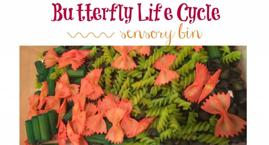 Butterfly Life Cycle Sensory Bin - Views From a Step Stool