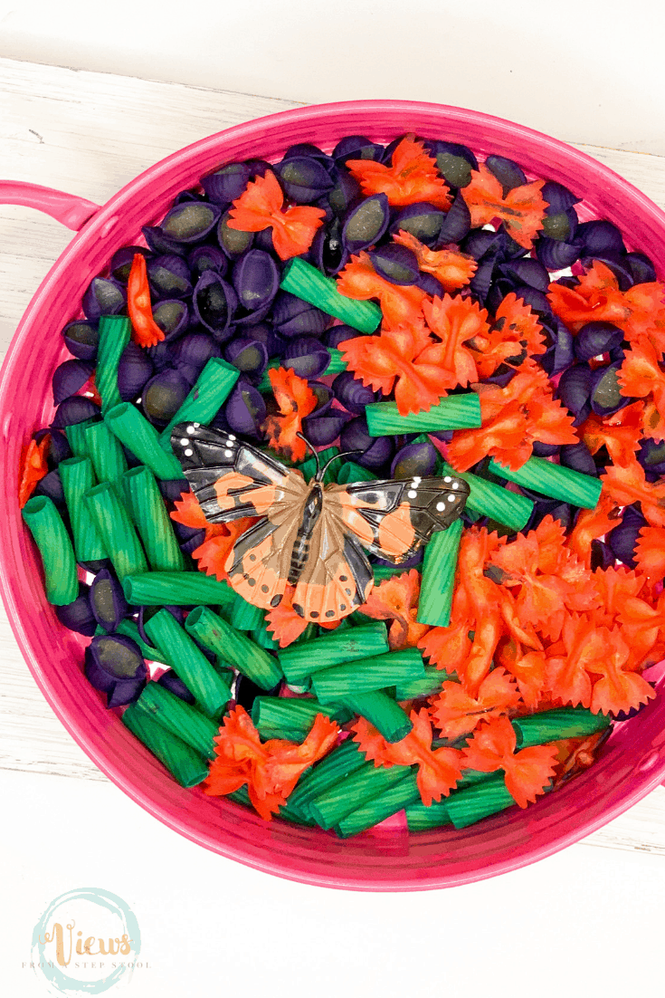 Butterfly Life Cycle Sensory Bin Views From a Step Stool