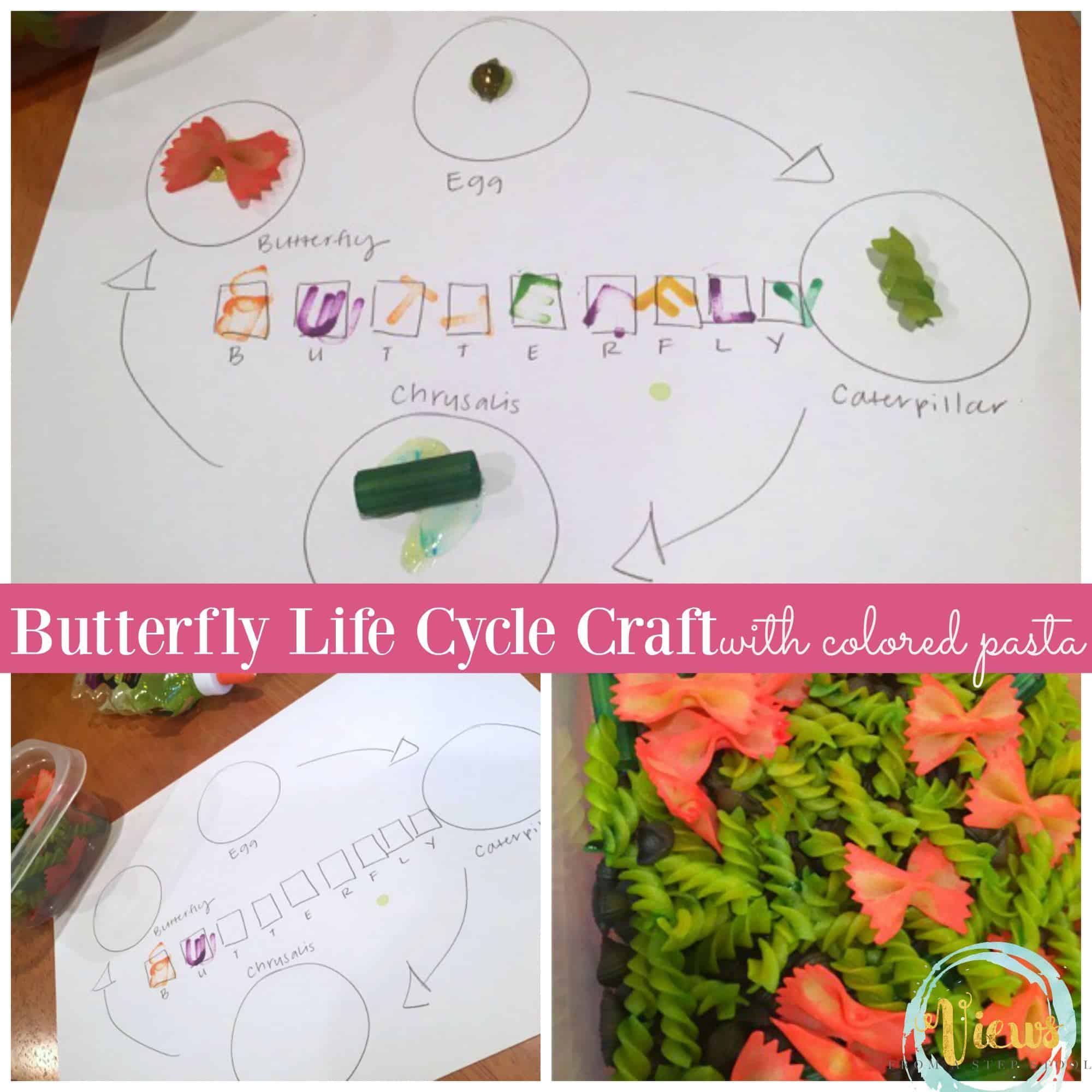 This butterfly life cycle craft uses colored pasta to represent the stages of the butterfly life cycle. Making a perfect, hands-on science project for kids! 