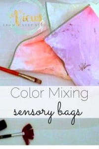 These color mixing sensory bags are perfect for preschoolers and toddlers, and combines sensory and science!
