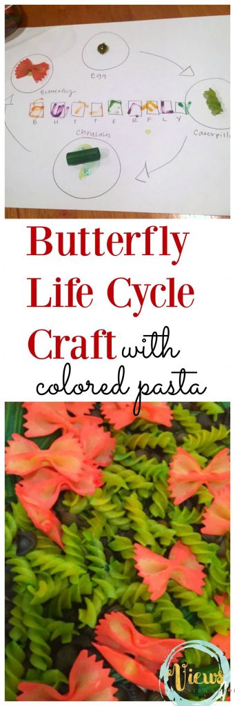 This butterfly life cycle craft uses colored pasta to represent the stages of the butterfly life cycle. Making a perfect, hands-on science project for kids! 