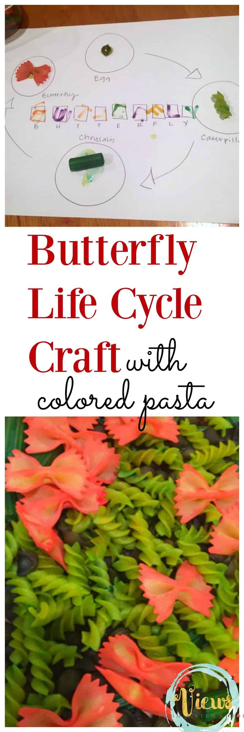 Butterfly Life Cycle Craft with Pasta