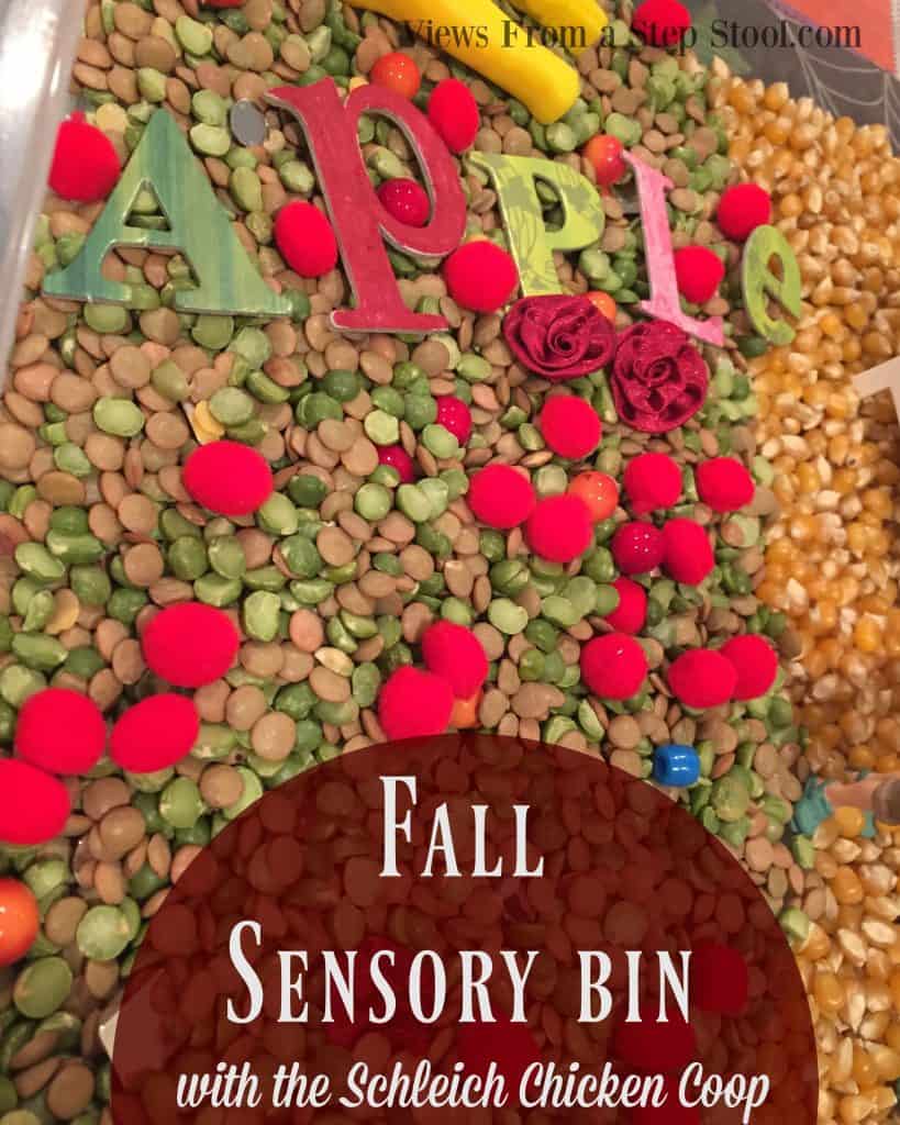 This fall sensory bin is so simple to make, with just some dried ingredients and fine motor tools, your kids will be learning and exploring all season long! 