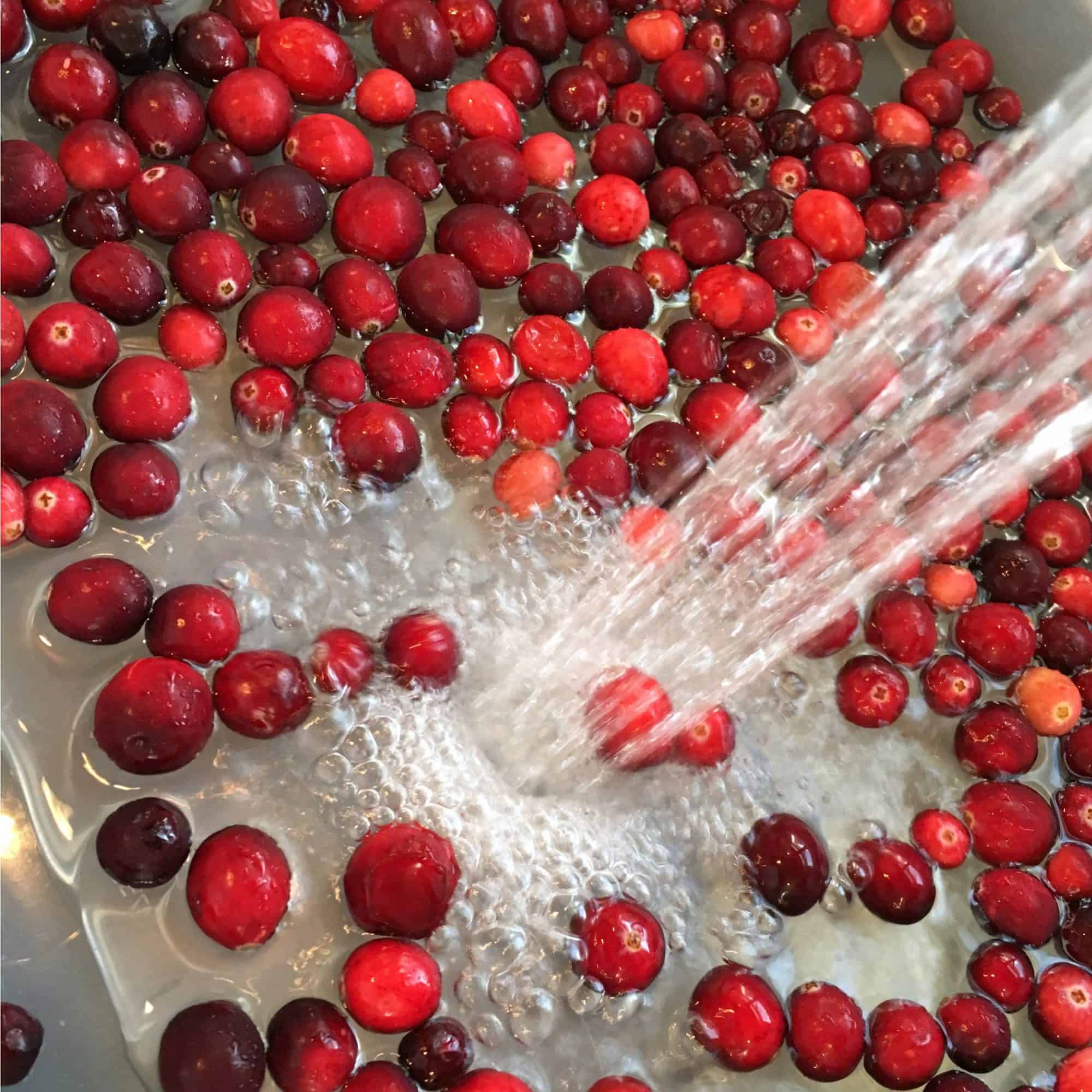 Cranberry Sensory Play for Toddlers Views From a Step Stool