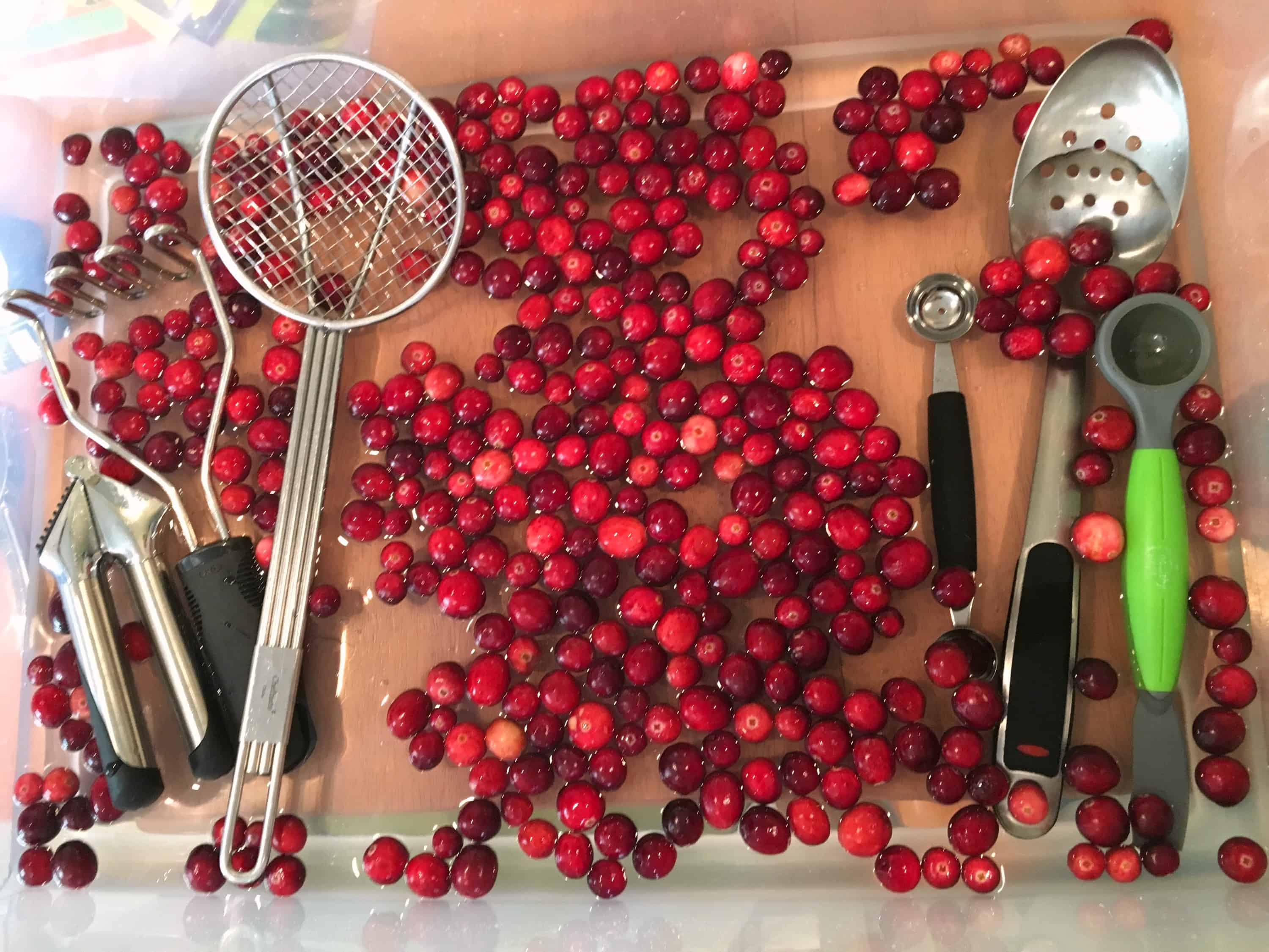 Cranberry Sensory Play for Toddlers - Views From a Step Stool