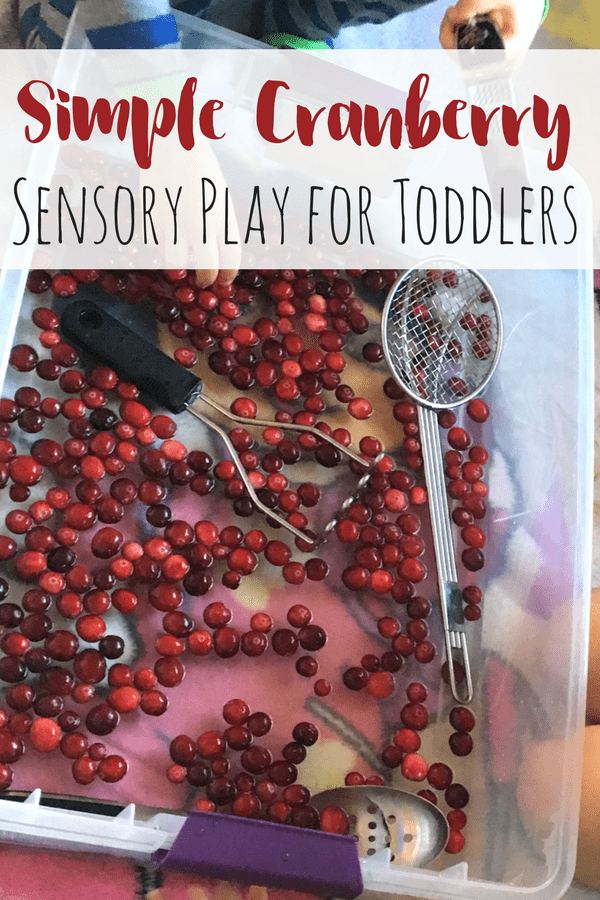 Make an indoor cranberry bog for some simple science and cranberry sensory play with kids! A hands-on activity like this will leave an impression!