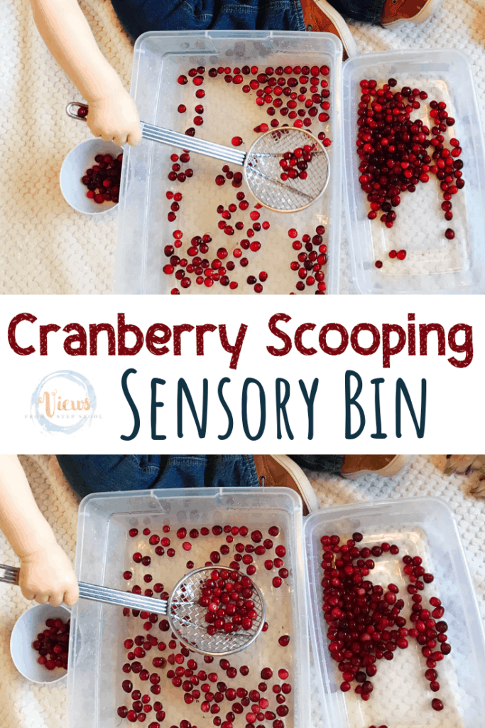 cranberry sensory bin pin 1