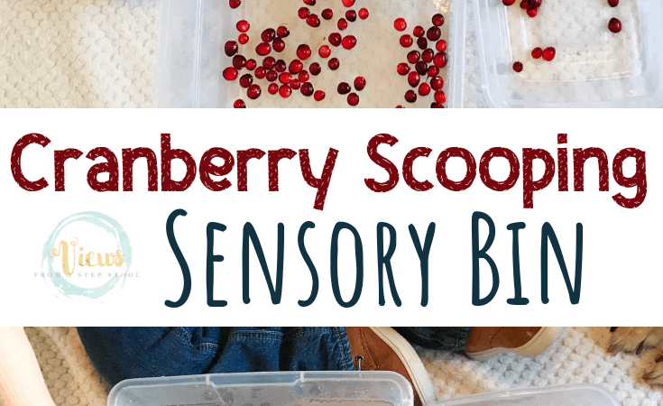 Cranberry Sensory Play for Toddlers