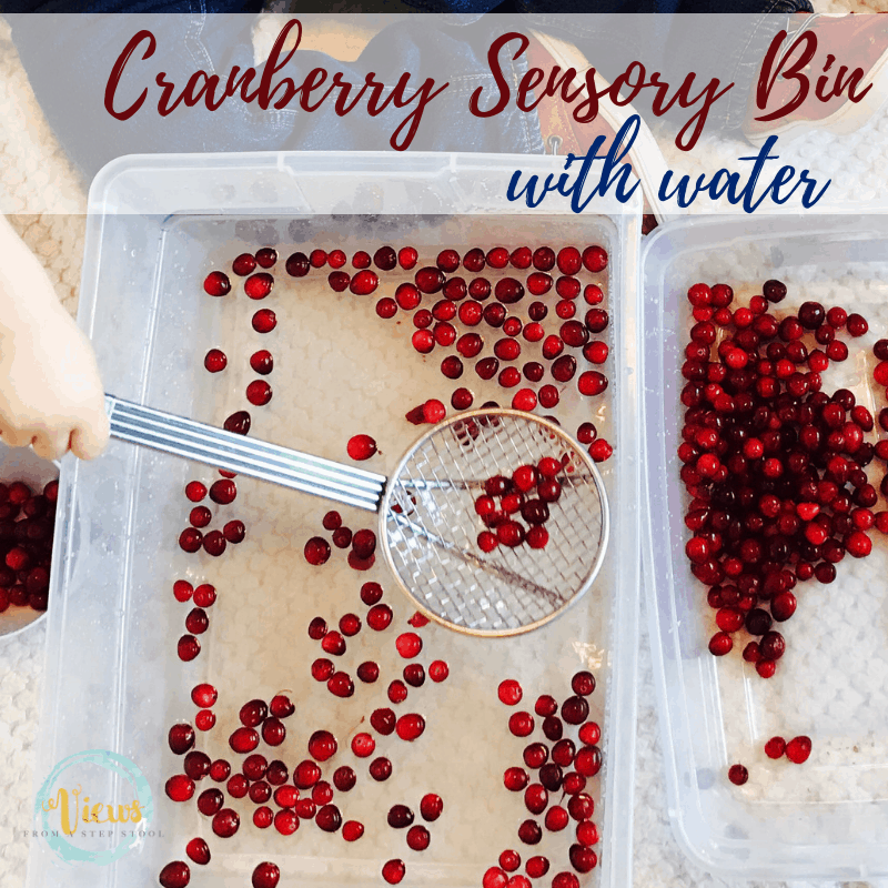 cranberry sensory bin square