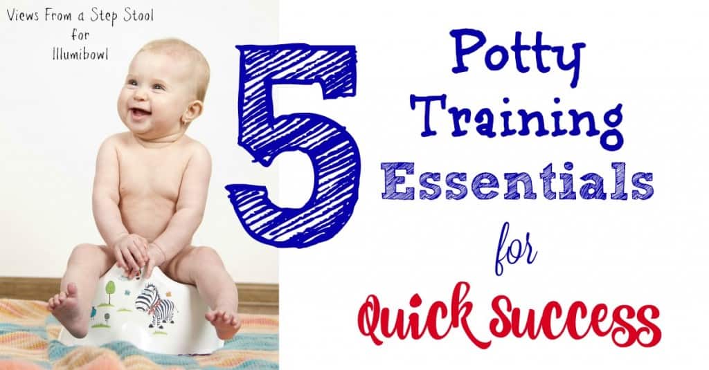 5 Potty Training Essentials for Quick Success Views From a Step Stool