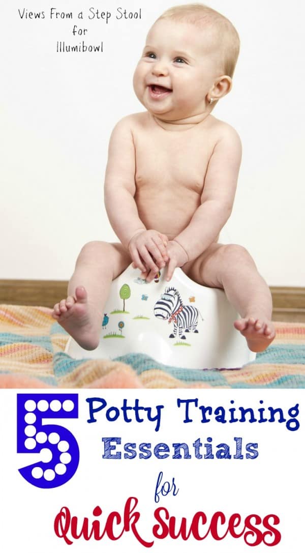 5 Potty Training Essentials for Quick Success Views From a Step Stool