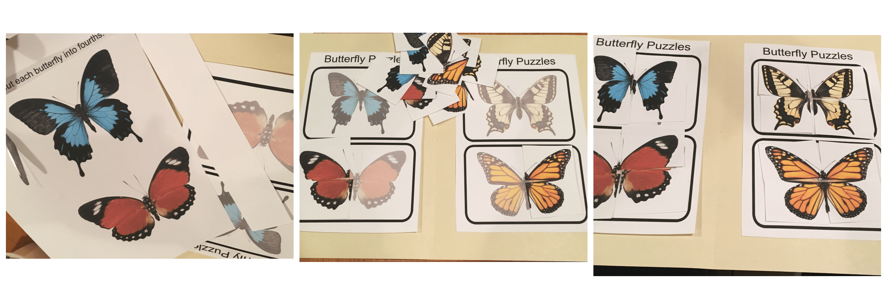 These printable butterfly file folder games are perfect for keeping the kiddos busy! Just print, cut and paste!