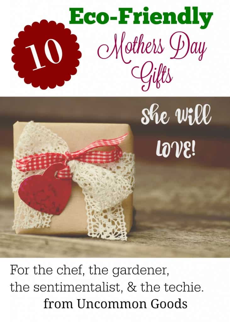 eco-friendly mothers day gifts pin