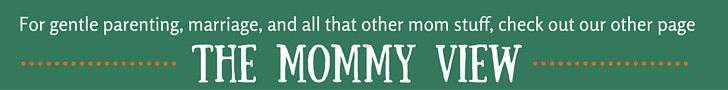 The Mommy View banner