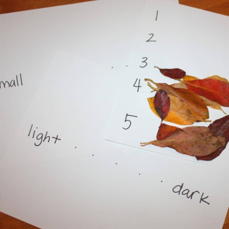 Basic Preschool Math with Fall Leaves - Views From a Step Stool