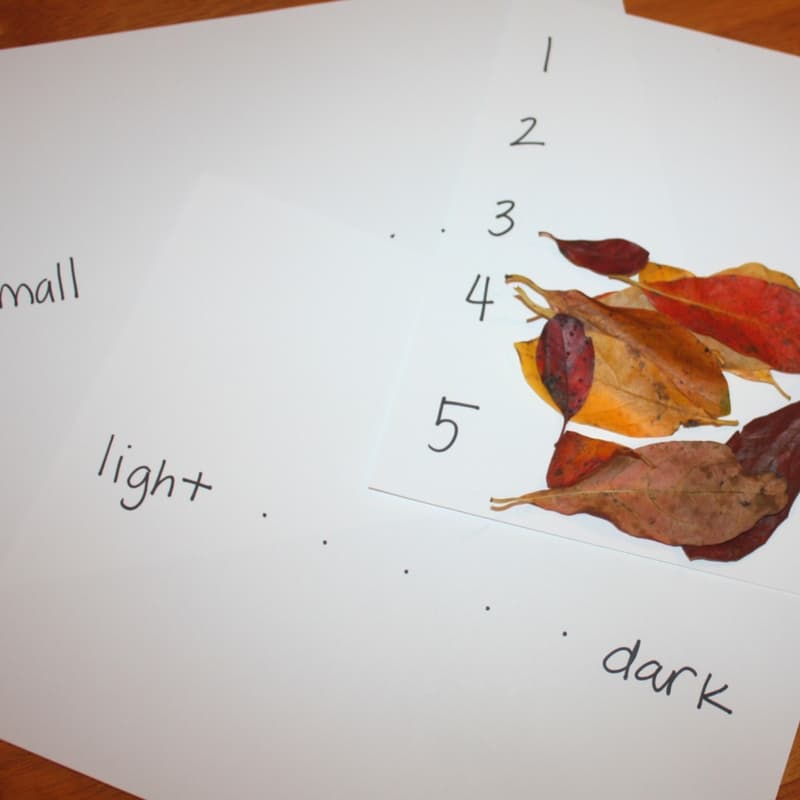 These activities are fun ways to work on basic math skills with fall leaves for preschoolers! Included is color and size sequencing and counting practice! 