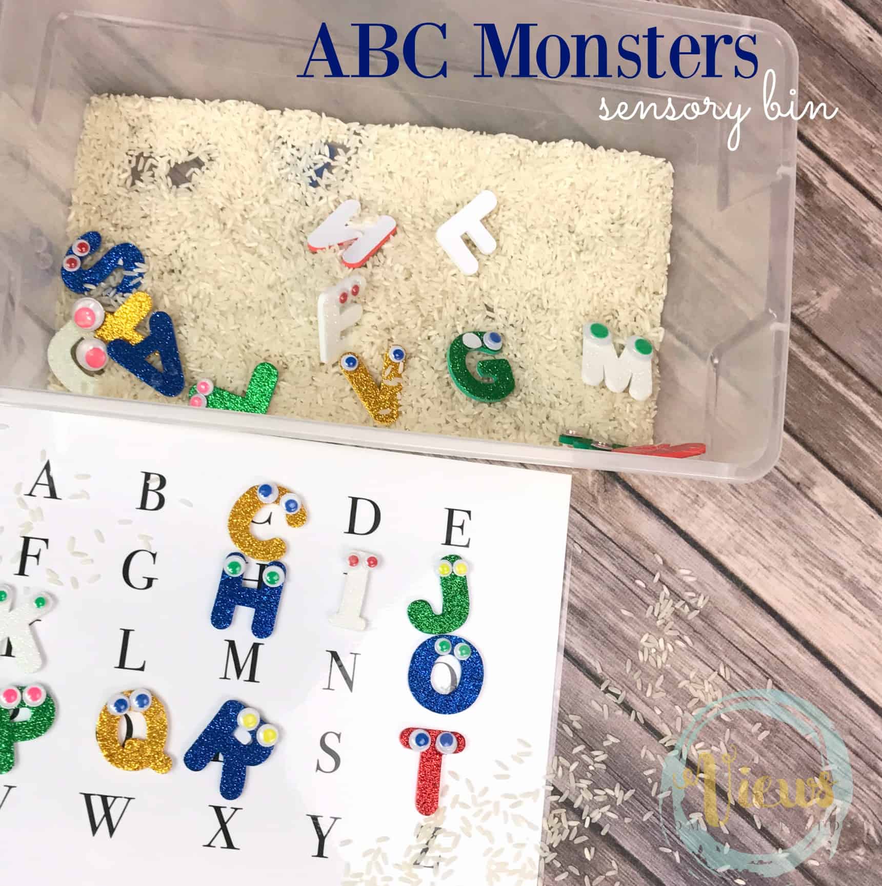 This ABC Monsters sensory bin incorporates some homemade letter monsters and the lovable kids' show, the ABC Monsters! Learn letters through play! 
