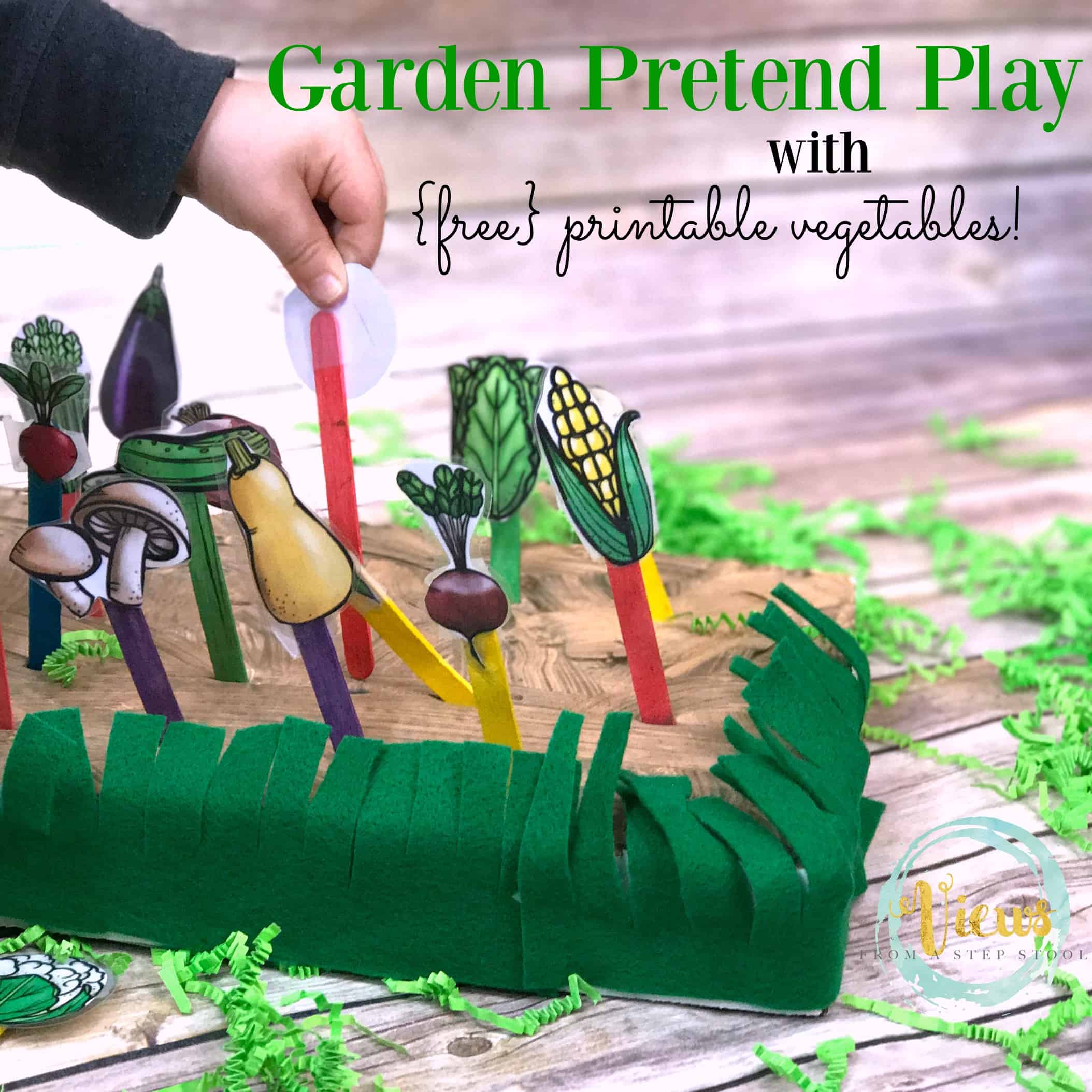 This fine motor garden pretend play activity is perfect for preschoolers! They are learning so much from this project, from vegetable identification, how plants grow and even fine motor exercise