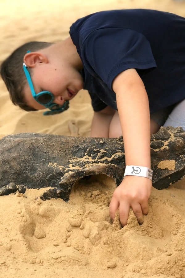 Go on a dino dig at the Liberty Science Center and become a paleontologist for the day. Discover fossils of various dinosaurs and learn through play.