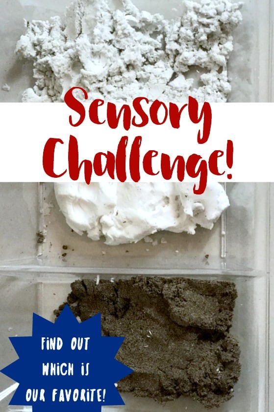 We took the #PlayVision sensory challenge! There is so much value in sensory play. Here is an honest look (video included) of our thoughts.