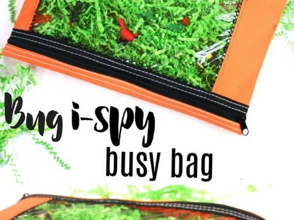 Bug I-Spy Busy Bag
