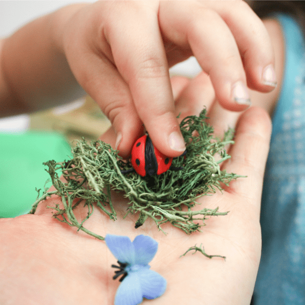 This bug activity for preschoolers is perfect for fine motor skills. Little learners will enjoy hunting for and finding bugs, and perfecting their skills!