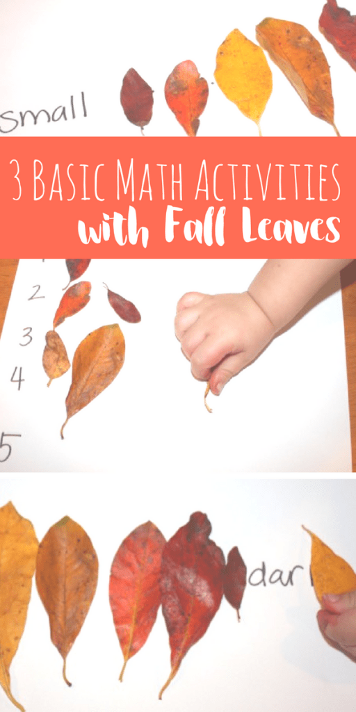 These 3 activities are fun ways to work on basic preschool math with fall leaves! Included is color and size sequencing and counting practice!