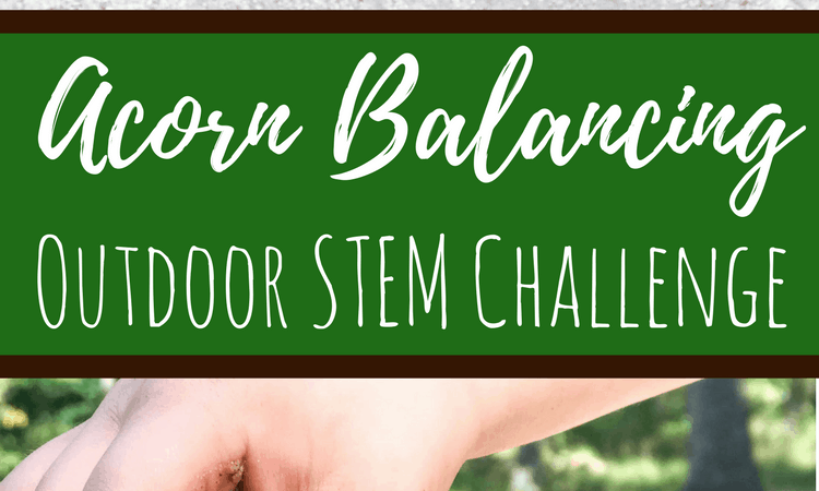 Acorn Balancing: Outdoor STEM Challenge for Kids