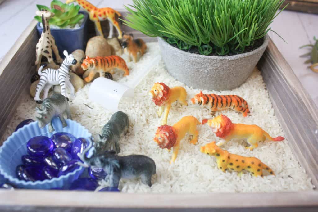 This safari animal sensory bin combines white rice and stones for a fun and engaging sensory base for animals. Kids can scoop and practice fine-motor skills. #sensoryplay #sensorybins #kidsactivities #parenting #preschool