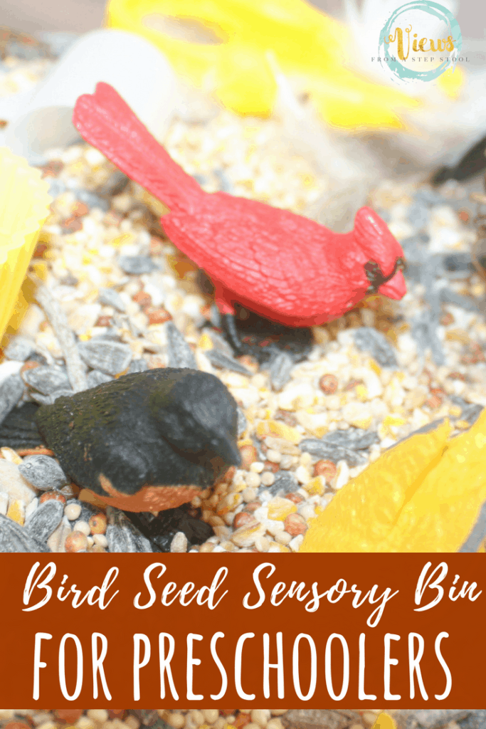 This birds sensory bin uses bird seed as a base and materials for nest building. The birds included in this sensory bin are great for play. #sensory #spd #sensorybin #kidsactivities #preschool #toddlers #birds #birdnest