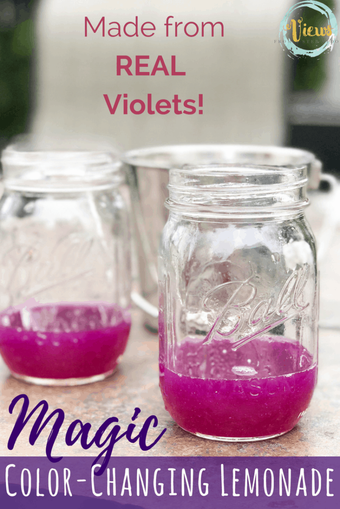Turn Violet water made from freshly-picked flowers into Violet lemonade in this fun color-changing science experiment for kids. It's tasty too! #kidsactivities #stemathome #violetlemonade #natureactivities #homeschool