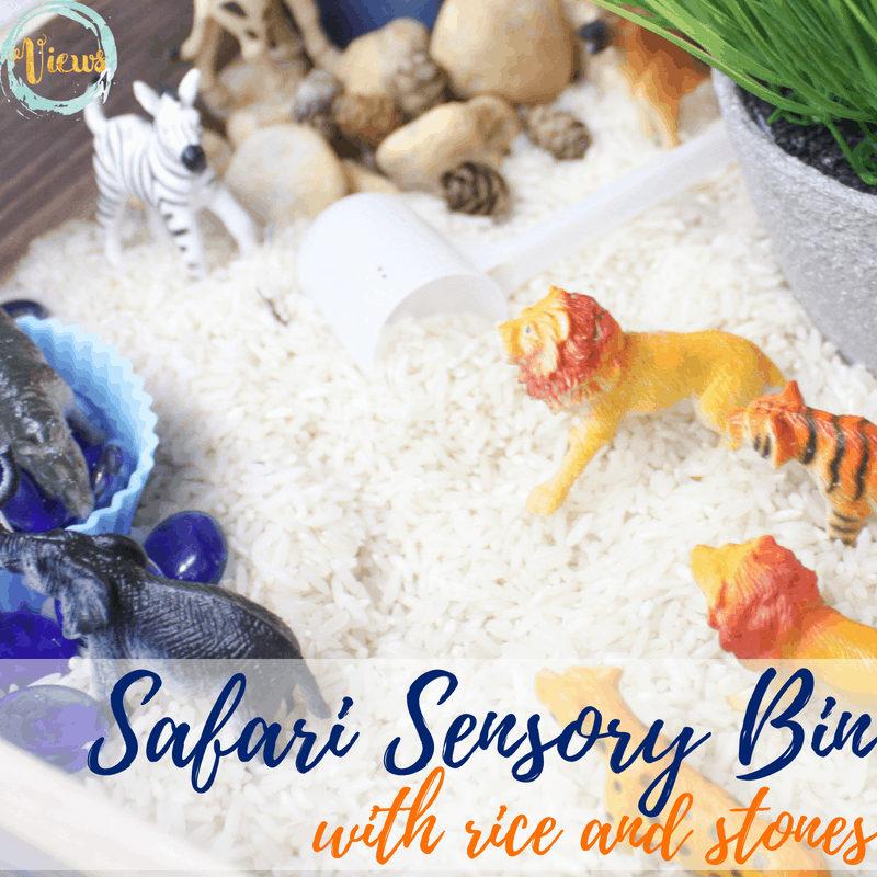 safari sensory bin square