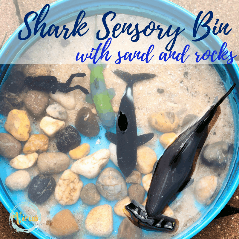 shark sensory bin square