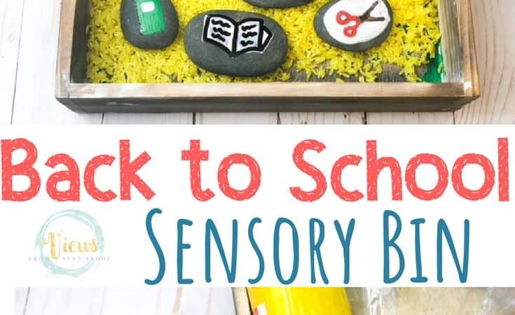 Back to School Sensory Bin with Painted Rocks