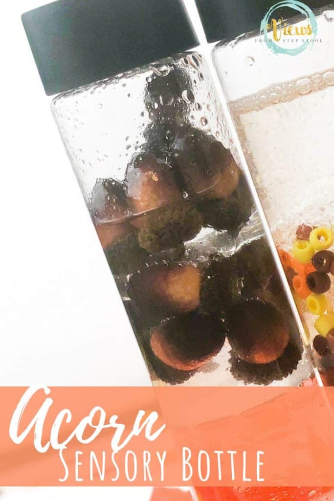 acorns in a fall sensory bottle