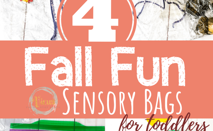 4 Fall Sensory Bags for Babies and Toddlers