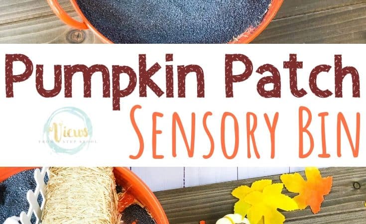 Pumpkin Sensory Bin: Picking, Counting and Exploring