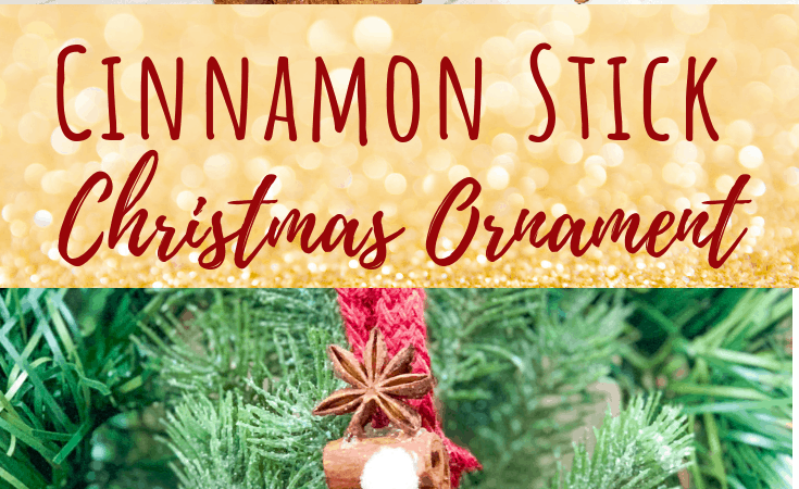 DIY Cinnamon Stick Ornament