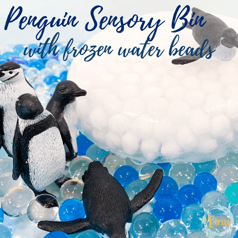 penguin sensory bin square-2