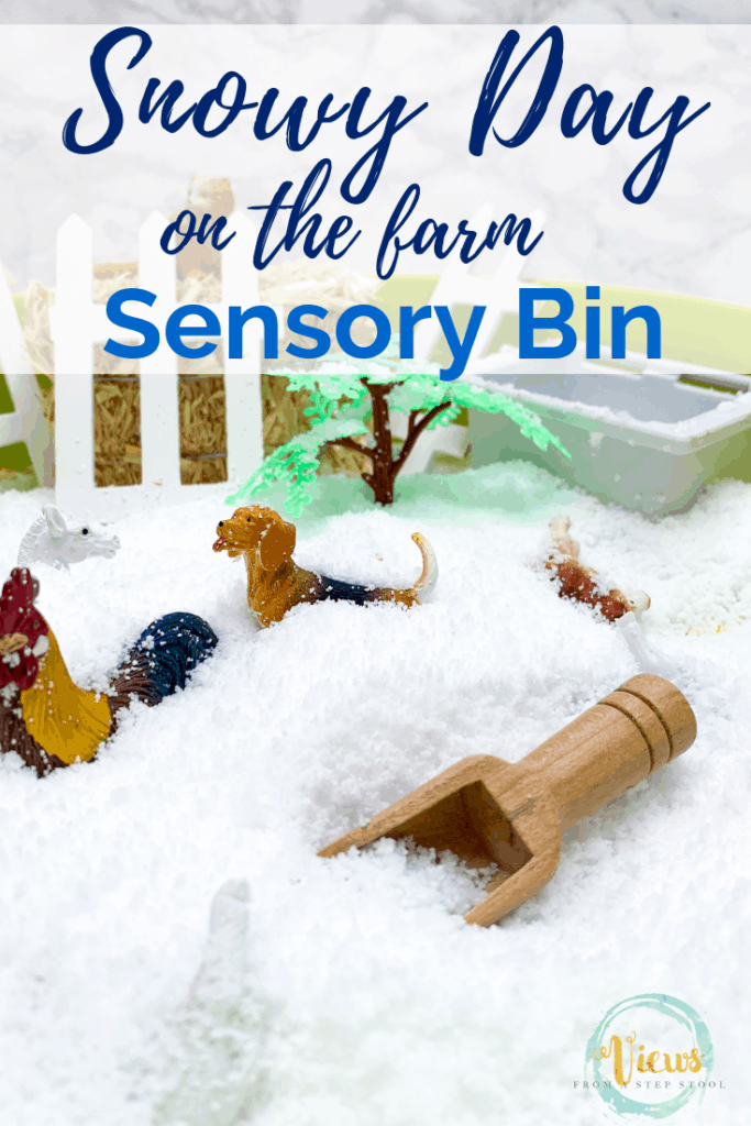 snow sensory bin pin 2