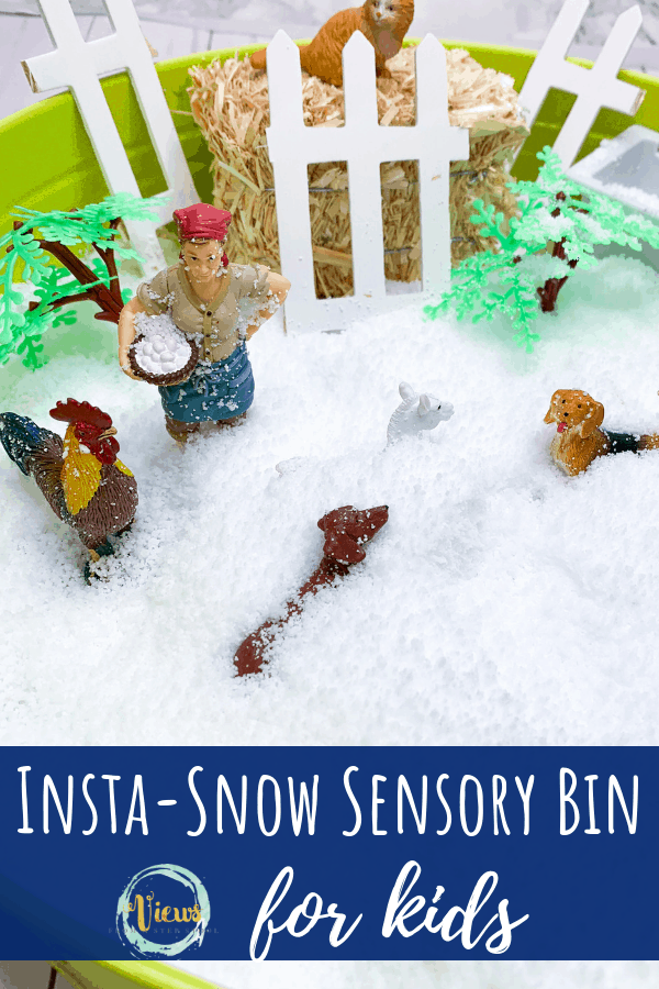 snow sensory bin pin 3