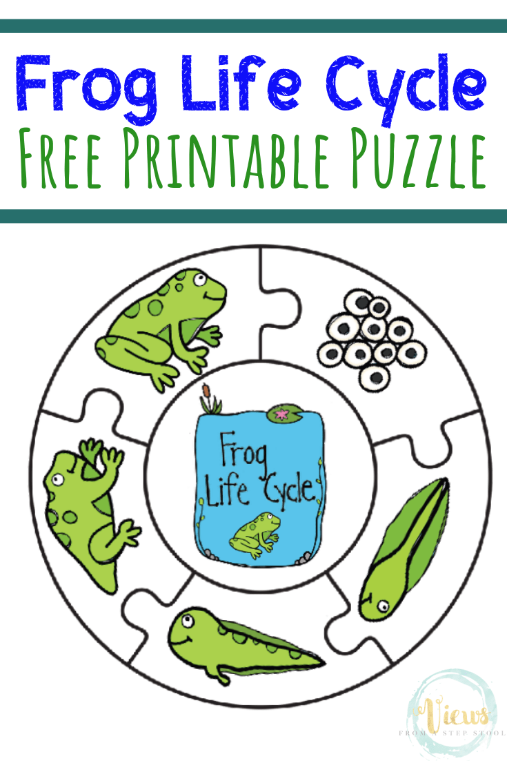 Free Printable Life Cycle Of A Frog Worksheet