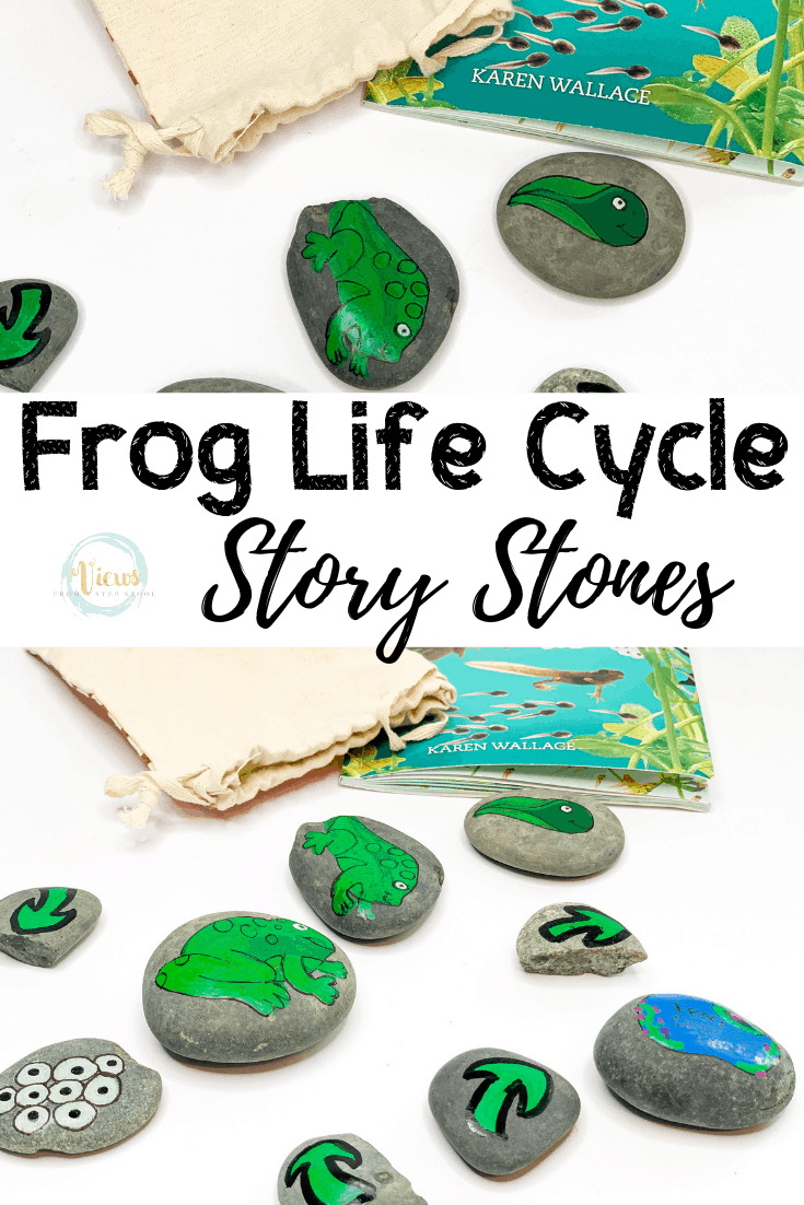 Life Cycle of a Frog Painted Rocks