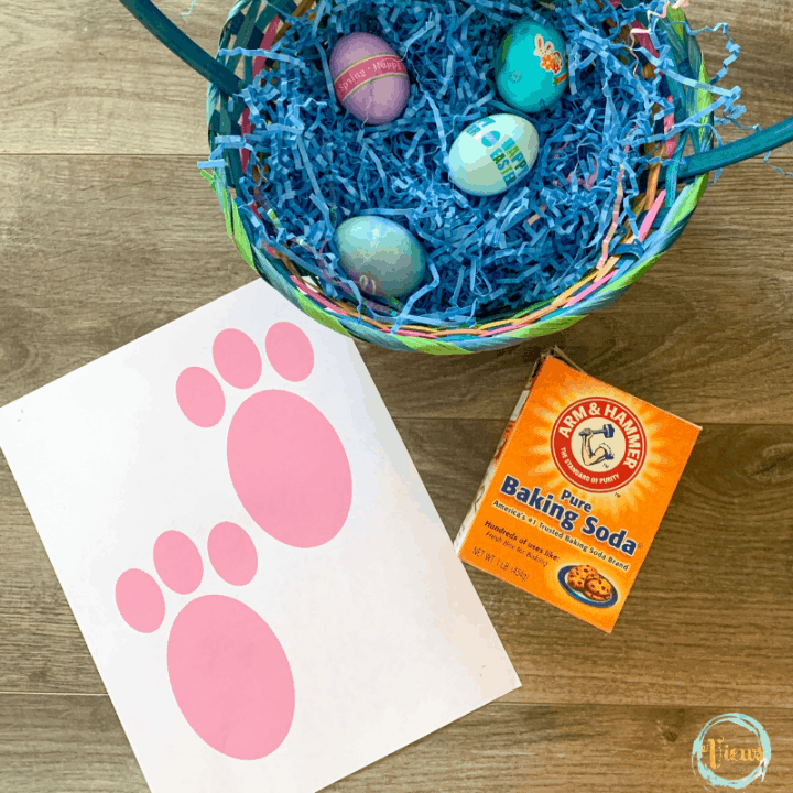 Easter Bunny Footprint Printable for Indoor or Outdoor Use Views From