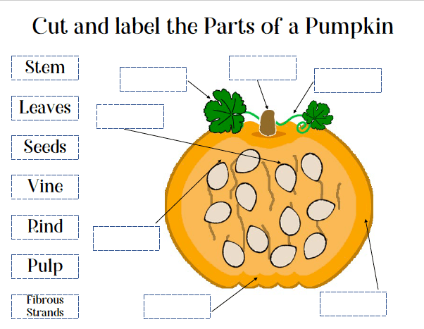 printable-parts-of-a-pumpkin-printable-word-searches